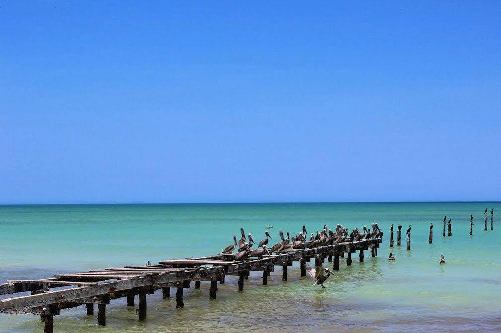 Cabanas El Cuyo Esterno foto